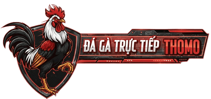 ĐÁ GÀ TRỰC TIẾP THOMO HÔM NAY – XEM TRỰC TIẾP ĐÁ GÀ THOMO TV