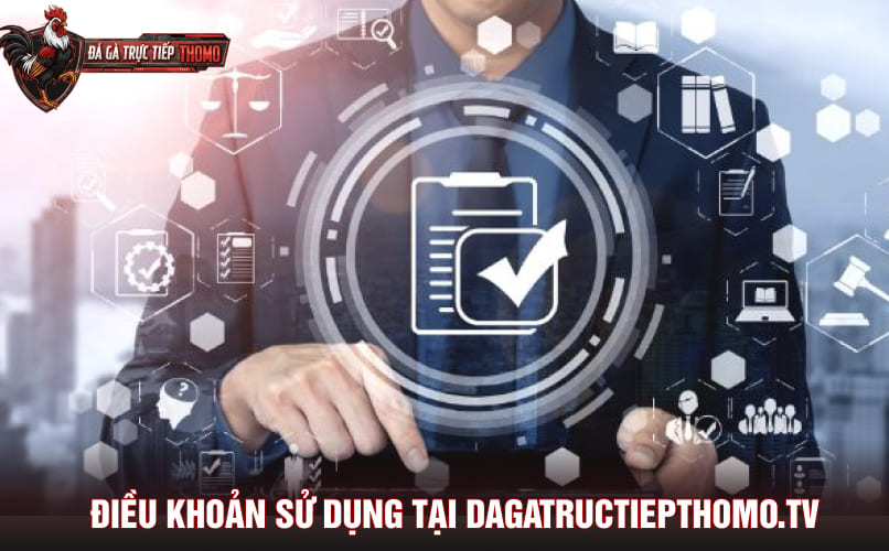 Quyền của người dùng khi truy cập Dagatructiepthomo.tv