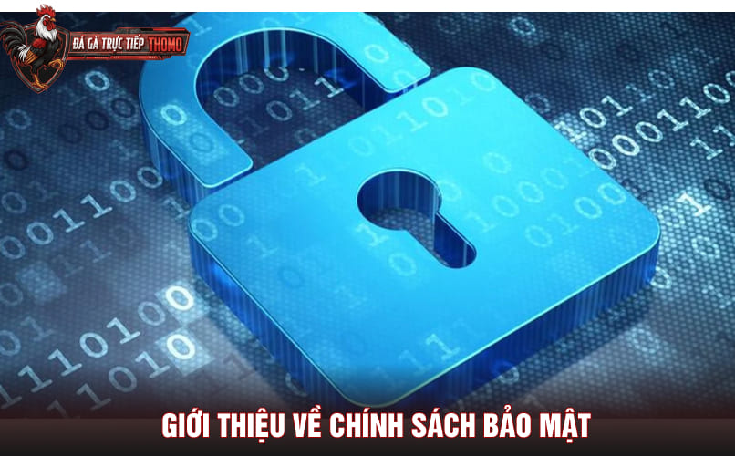 Giới thiệu về chính sách bảo mật