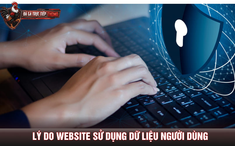 Lý do website sử dụng dữ liệu người dùng
